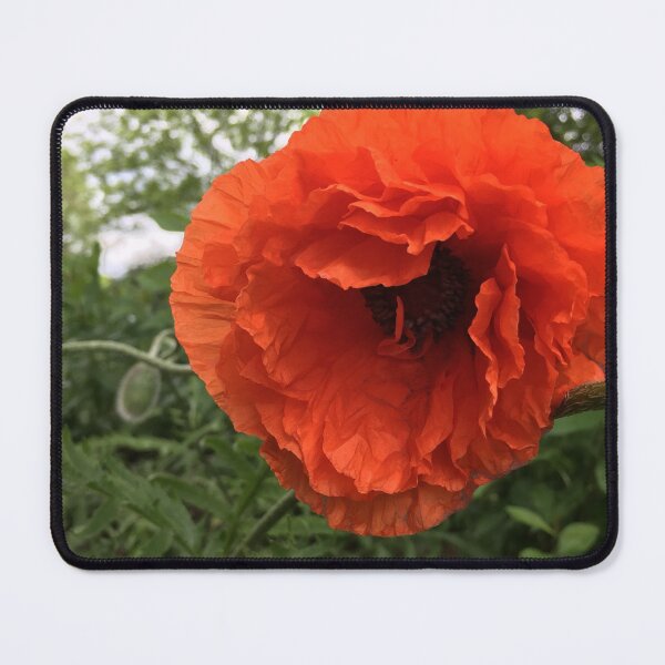 Item preview, Orange poppy  designed and sold by McGrath-Scapes.
