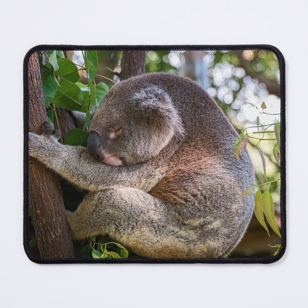 Item preview, Koala Sleeping Beauty designed and sold by Catherine Reading.