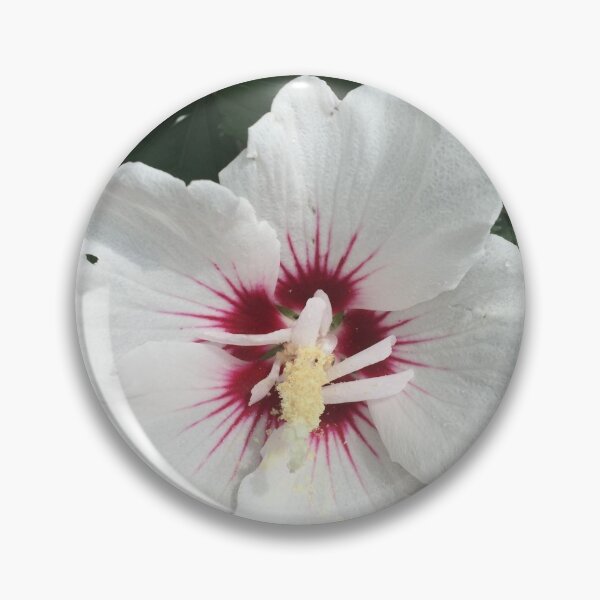 Item preview, Rose of Sharon designed and sold by McGrath-Scapes.