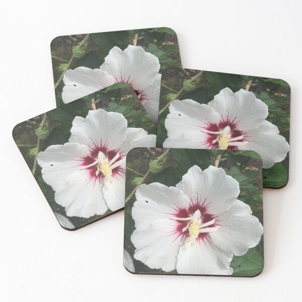 Item preview, Rose of Sharon designed and sold by McGrath-Scapes.