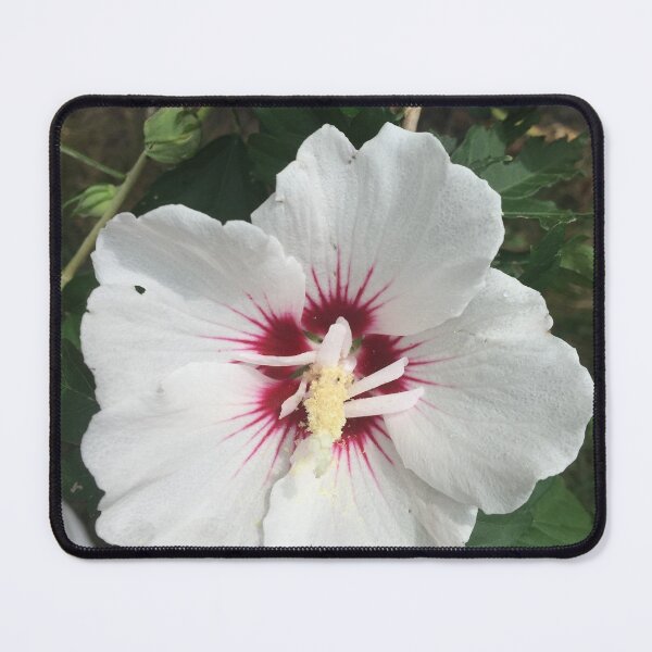 Item preview, Rose of Sharon designed and sold by McGrath-Scapes.