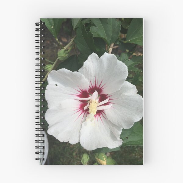 Item preview, Rose of Sharon designed and sold by McGrath-Scapes.