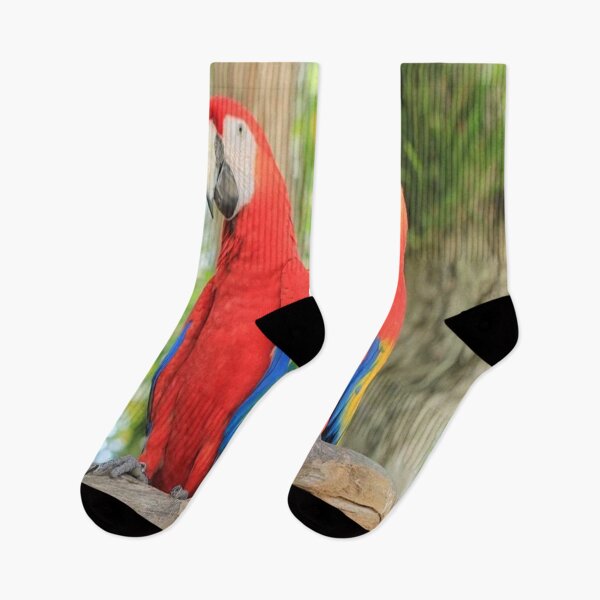 Item preview, Parrot designed and sold by PTProd.