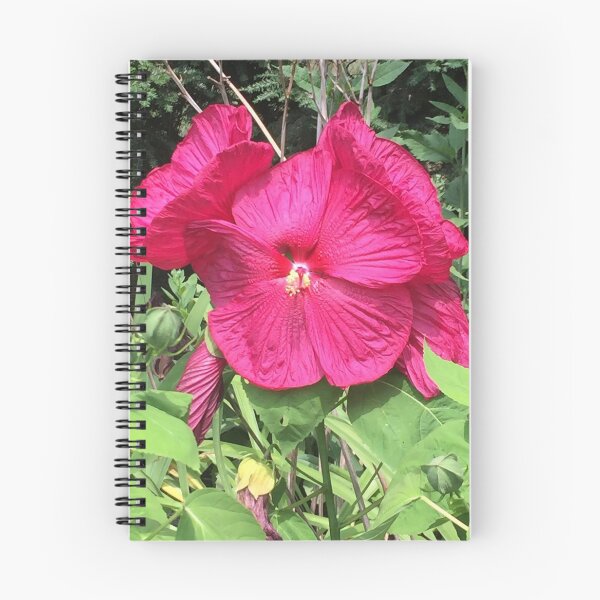 Item preview, Perennial Hibiscus  designed and sold by McGrath-Scapes.