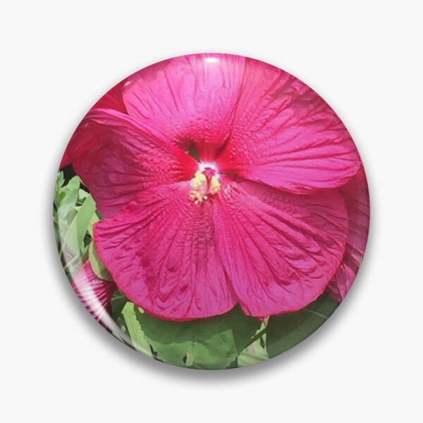 Item preview, Perennial Hibiscus  designed and sold by McGrath-Scapes.