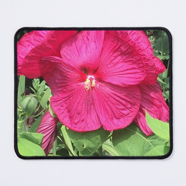 Item preview, Perennial Hibiscus  designed and sold by McGrath-Scapes.