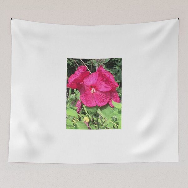 Item preview, Perennial Hibiscus  designed and sold by McGrath-Scapes.