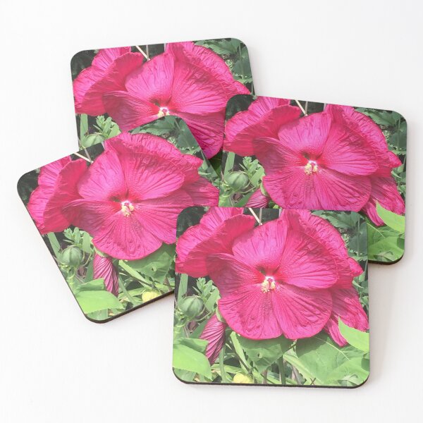 Item preview, Perennial Hibiscus  designed and sold by McGrath-Scapes.
