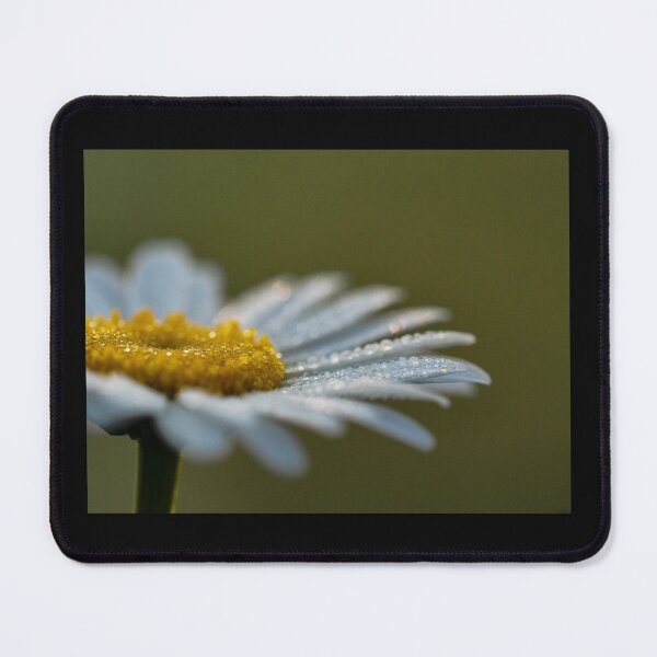 Item preview, white daisy designed and sold by MyL0rD.