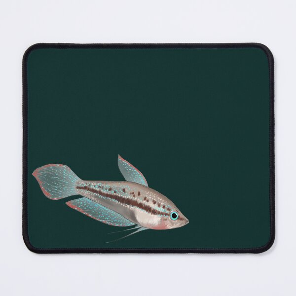 Item preview, Thorin the sparkling Gourami designed and sold by dickesSchaf.
