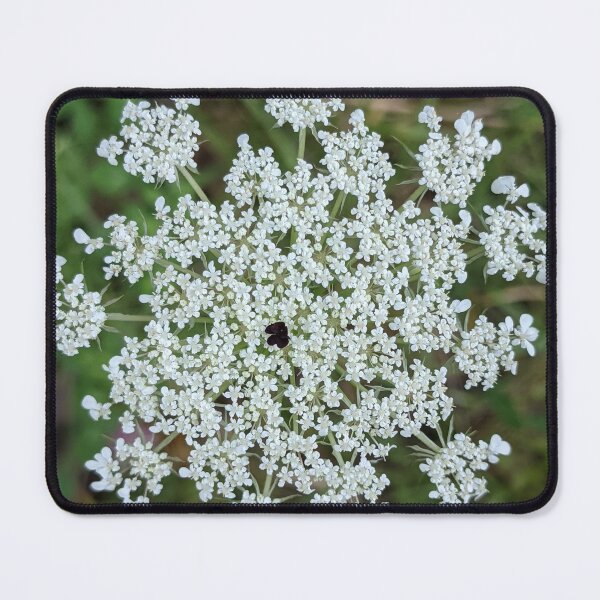 Item preview, Queen Anne's lace designed and sold by memorguson.
