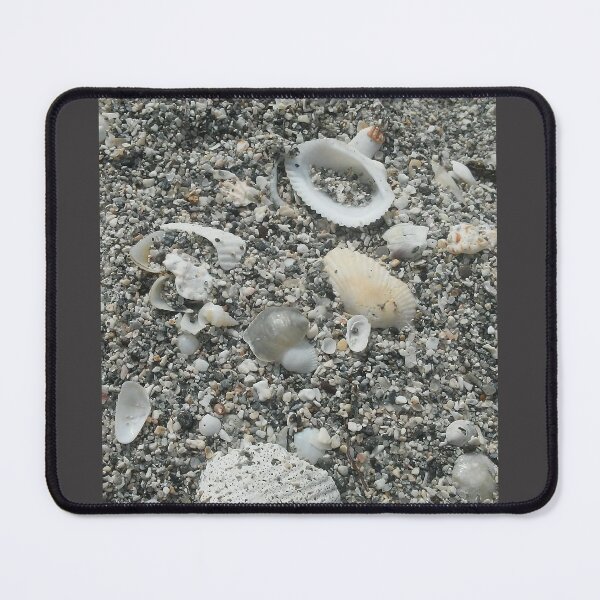 Item preview, Shells galore! designed and sold by memorguson.