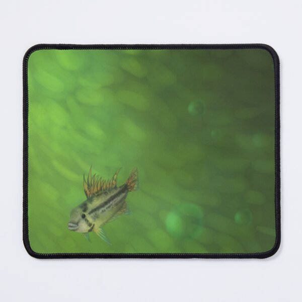 Item preview, Cockatoo dwarf cichlid designed and sold by dickesSchaf.