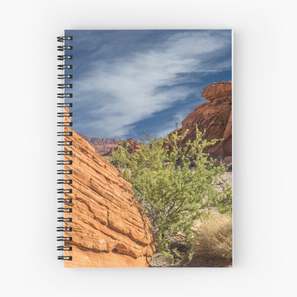 Item preview, Rocky Nevada designed and sold by robbo389.