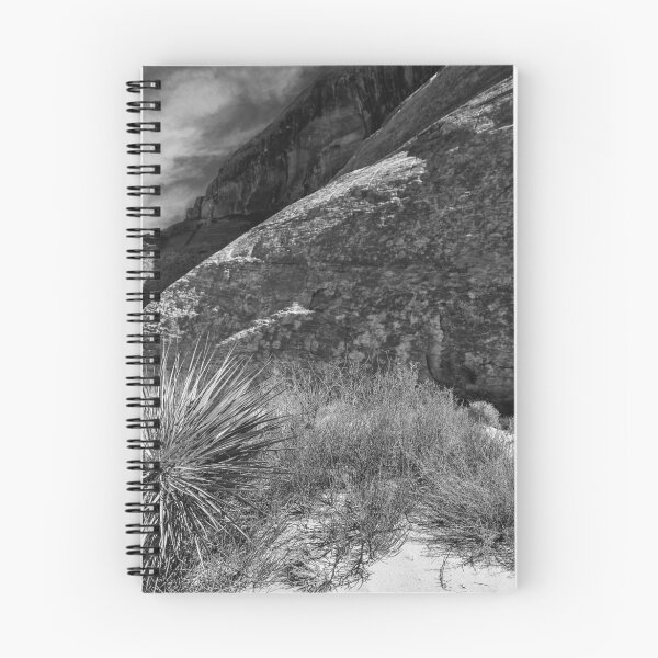 Item preview, Nevada en Mono designed and sold by robbo389.