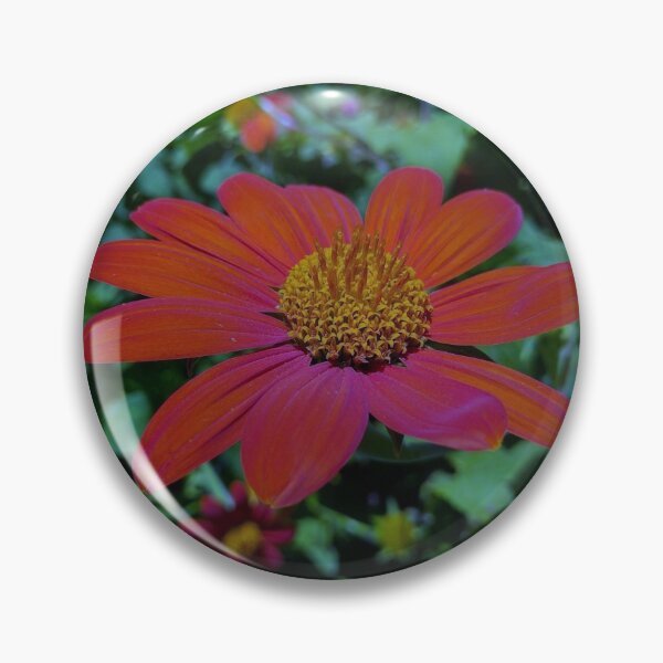 Item preview, Red Gerber Daisy Close Up Nature 1 designed and sold by MVA-Designs.