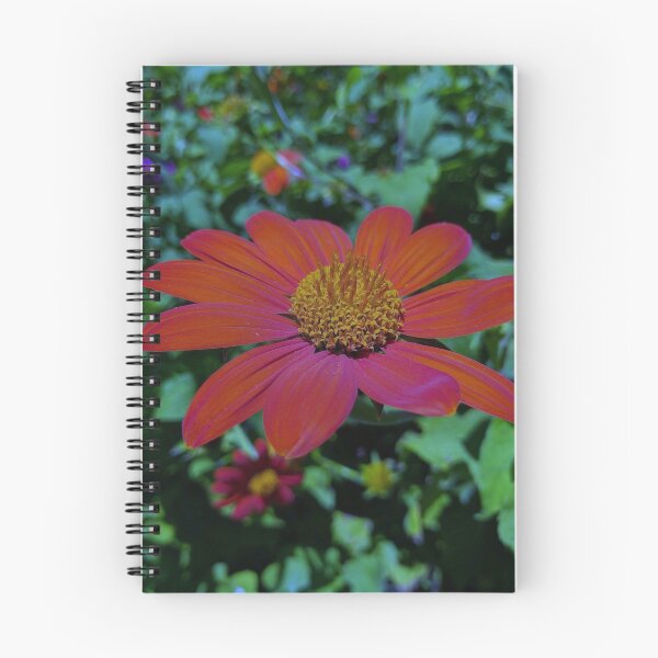 Item preview, Red Gerber Daisy Close Up Nature 1 designed and sold by MVA-Designs.
