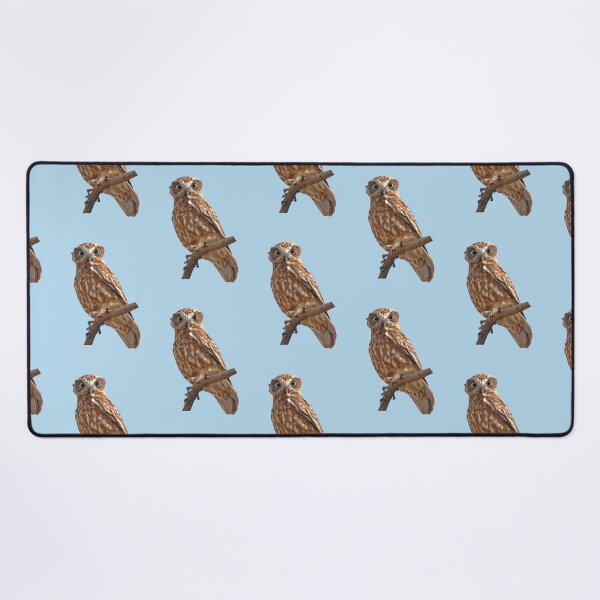 Southern Boobook 4 Desk Mat