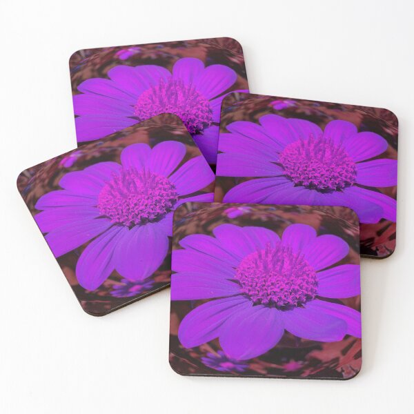 Item preview, Gerber Daisy Close up Color Shift designed and sold by MVA-Designs.