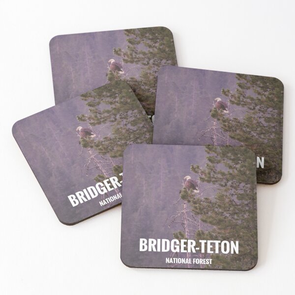 Item preview, Bridger-Teton National Forest Poster designed and sold by Will-Carney.