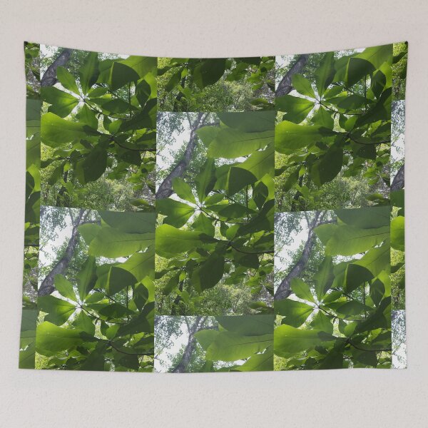 Item preview, Light through leaves designed and sold by zchriswit.