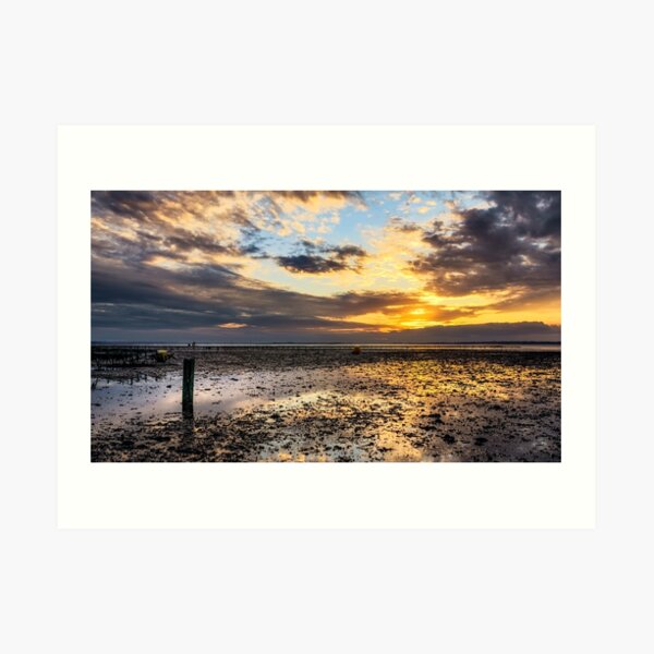 Oyster Faming Art Print