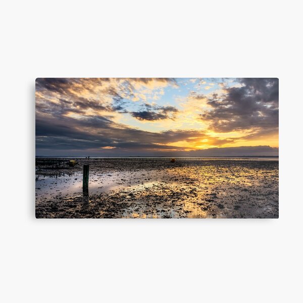 Oyster Faming Metal Print