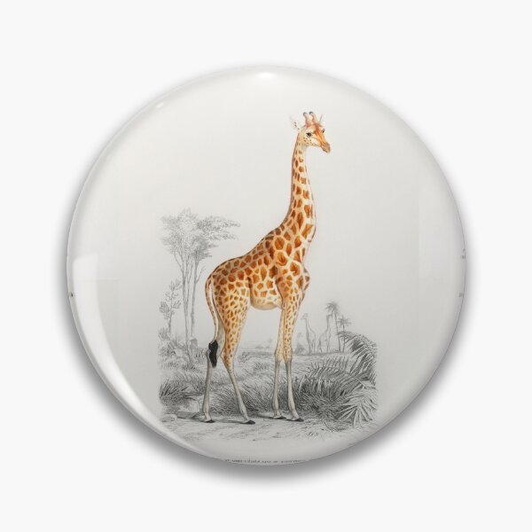 Item preview, Giraffe (Giraffa camelopardalis) illustration designed and sold by Nikiolilalala.