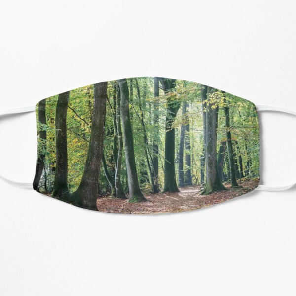 Autumn Walk Flat Mask
