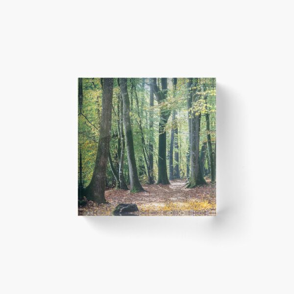 Autumn Walk Acrylic Block