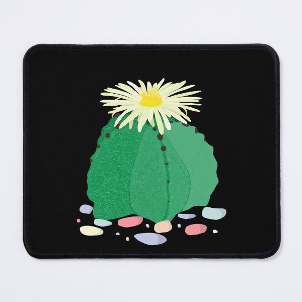 Item preview, Astrophytum Myriostigma, The Bishop's Cap Cactus. With Sea Stones designed and sold by On-The-Roof.