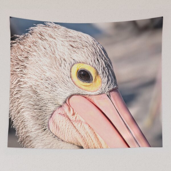 Item preview, Pelican Up Close designed and sold by Catherine Reading.