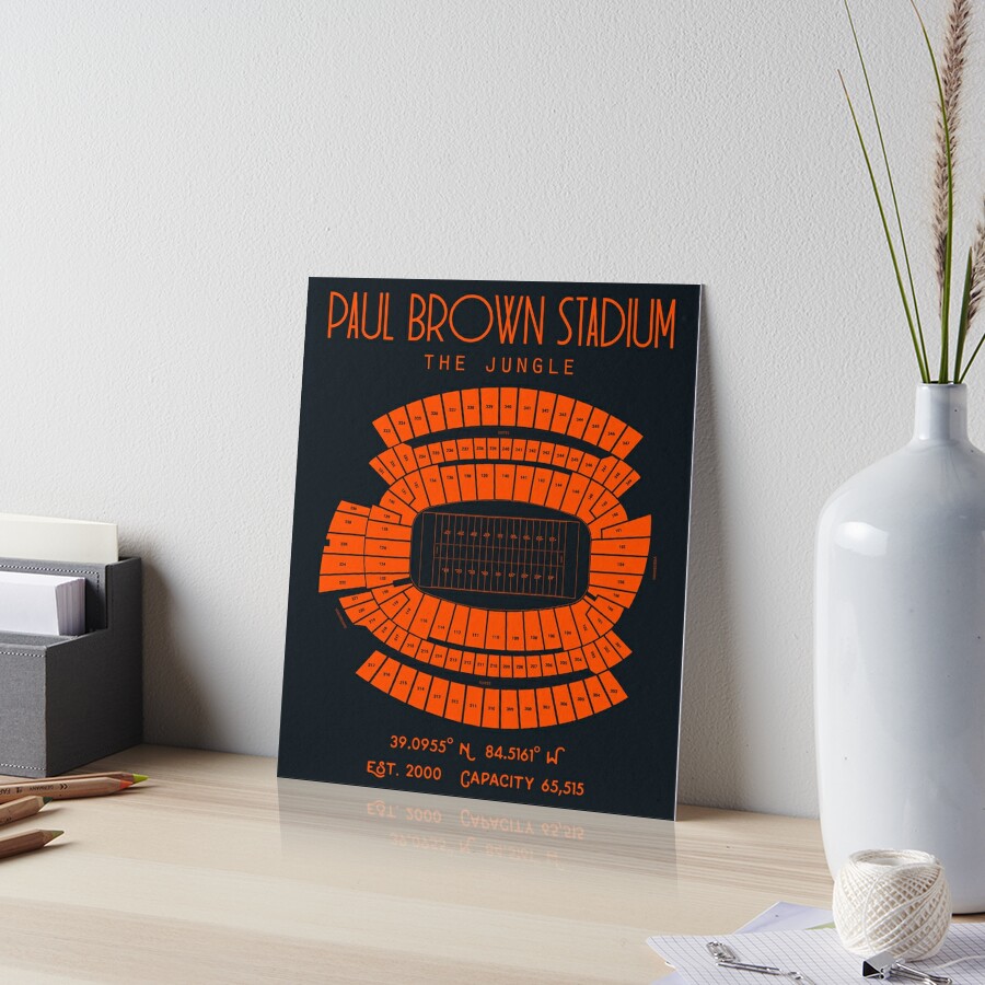 Cincinnati Bengals Stadium Art Prints Paul Brown Stadium Wall Art,Sport  Stadium Art Prints, Fan Gift, Wall Decor