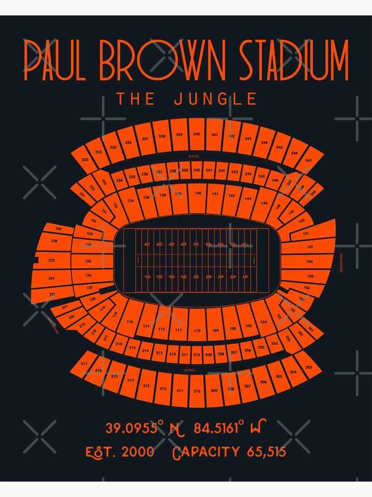 Cincinnati Bengals Stadium Art Prints Paul Brown Stadium Wall Art,Sport  Stadium Art Prints, Fan Gift, Wall Decor