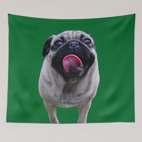 Item preview, Dreaming of bacon designed and sold by Jaclyn8smith8.