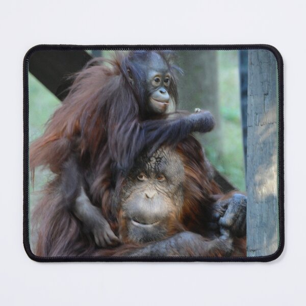 Item preview, Orangutan Mom and Baby  designed and sold by Savannah Gibbs.