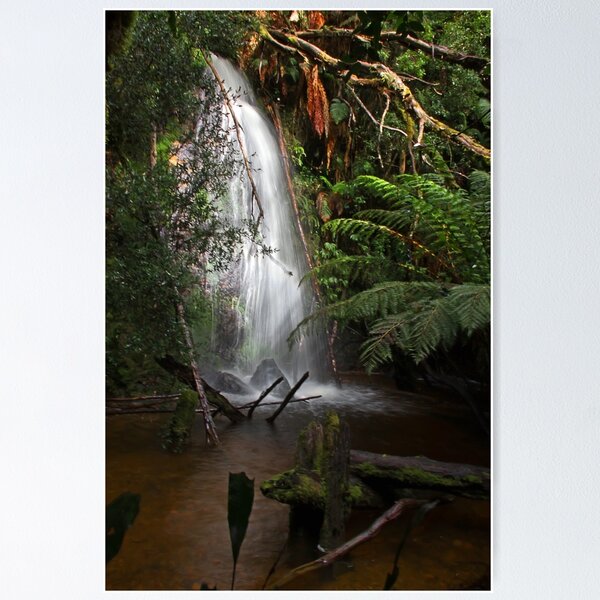 Item preview, Rainforest Splashpool designed and sold by TonyCrehan.