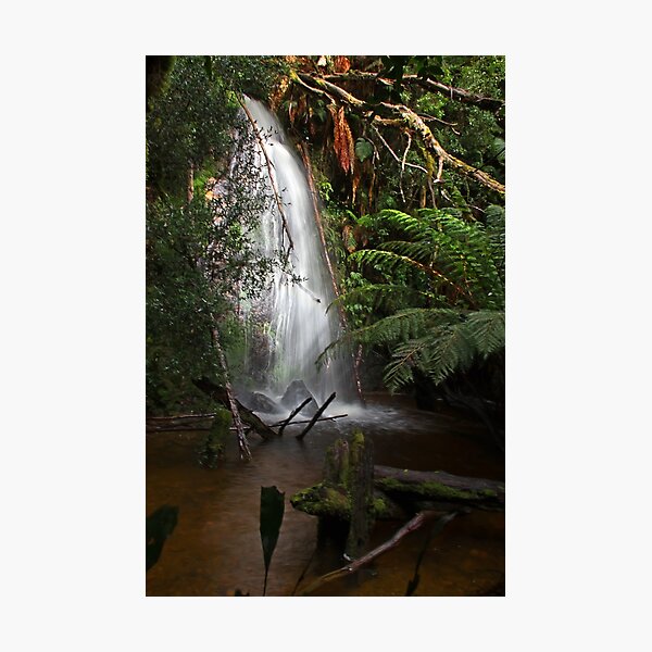 Item preview, Rainforest Splashpool designed and sold by TonyCrehan.
