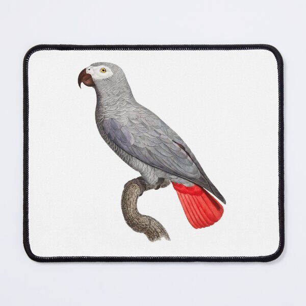 African Grey Parrot Mouse Pad