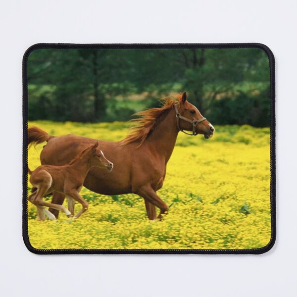 Item preview, Arabian Foal And Mare In A Field Of Buttercups designed and sold by RiverenAshley.