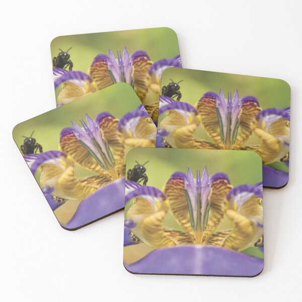 Item preview, Bee On Purple Flower designed and sold by RiverenAshley.