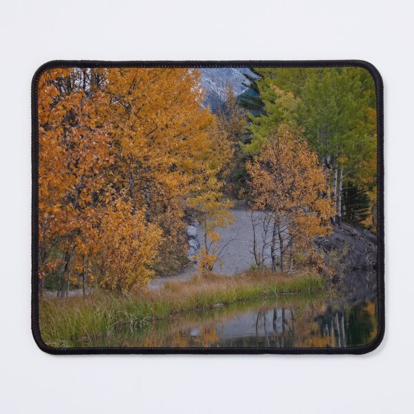 Item preview, Autumn Reflections designed and sold by Catherine Reading.