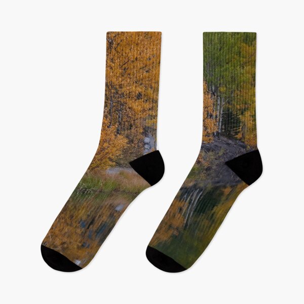 Item preview, Autumn Reflections designed and sold by Catherine Reading.