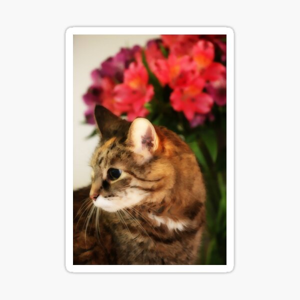 Mary The Cat With Flowers Behind Art Sticker
