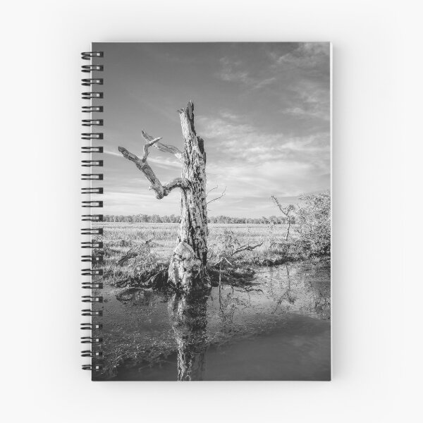 Item preview, Tree Standing Strong In Kakadu National Park designed and sold by Catherine Reading.