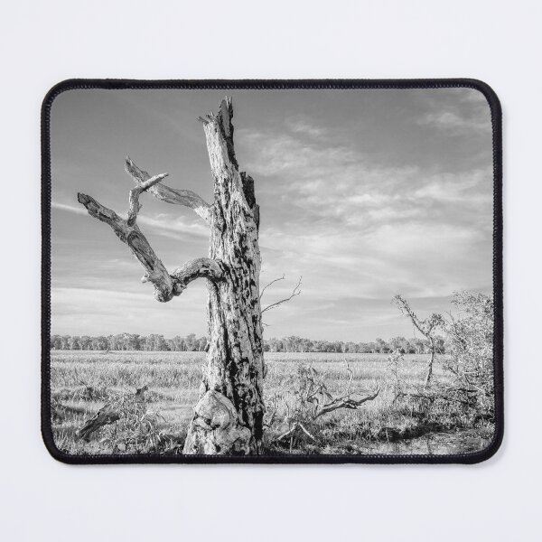 Item preview, Tree Standing Strong In Kakadu National Park designed and sold by Catherine Reading.