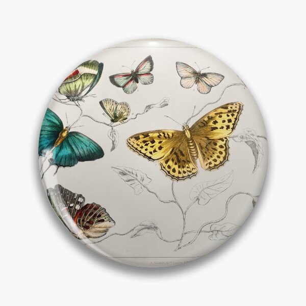 Item preview, Collection of various butterflies from A history of the earth and animated nature (1820) by Oliver Goldsmith (1730-1774). designed and sold by Nikiolilalala.