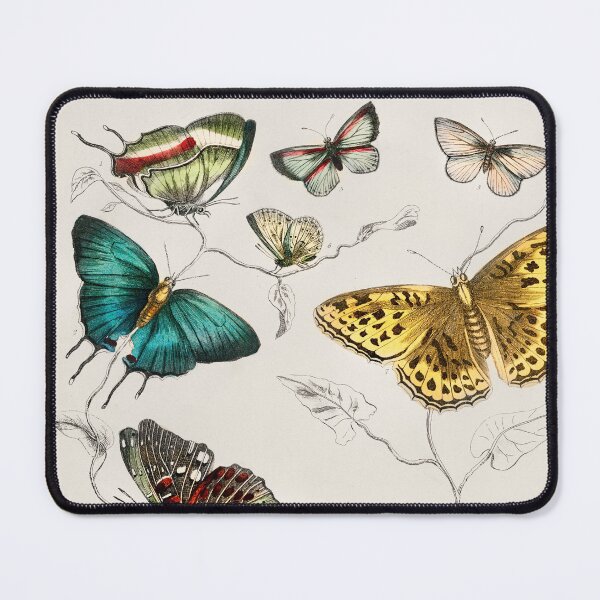 Item preview, Collection of various butterflies from A history of the earth and animated nature (1820) by Oliver Goldsmith (1730-1774). designed and sold by Nikiolilalala.
