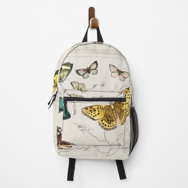 Item preview, Collection of various butterflies from A history of the earth and animated nature (1820) by Oliver Goldsmith (1730-1774). designed and sold by Nikiolilalala.