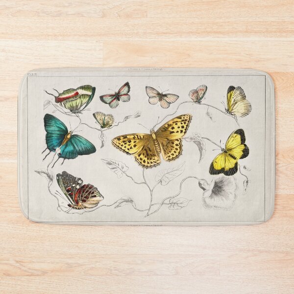 Item preview, Collection of various butterflies from A history of the earth and animated nature (1820) by Oliver Goldsmith (1730-1774). designed and sold by Nikiolilalala.